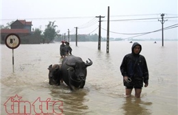Hà Tĩnh: Mưa trắng trời, nhiều địa phương bị nước lũ chia cắt 
